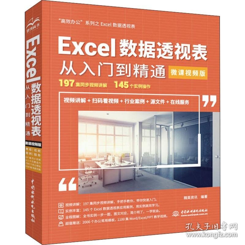 Excel数据透视表从入门到精通 高效办公 微课视频版