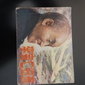 李宗仁归来