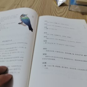 山海经-全注全译全彩珍藏版