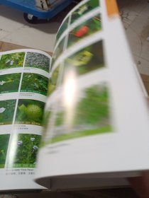 上海植物图鉴·草本卷