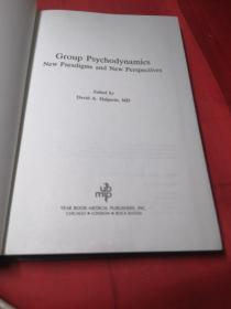 Group Psychodynamics
New Paradigms and New Perspectives(英文版)