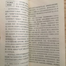 简明文学原理