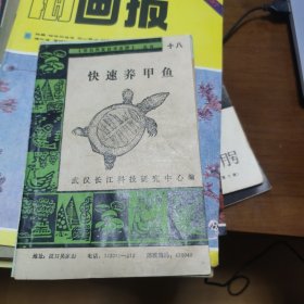 科技致富技术函授丛书十八快速养甲鱼 武汉长江科技研究中心编