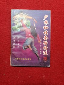 少林秘技套路精选 续