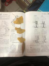 肿瘤手术学