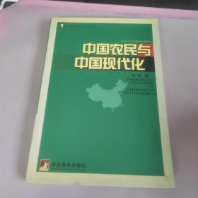 中国农民与中国现代化