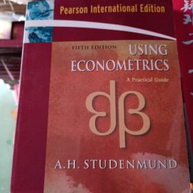 Using Econometrics