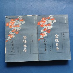 金陵春夢(第七.八集)