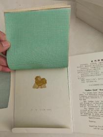 金鸡牌纱窗 样本32开 中国轻工业品进出口公司