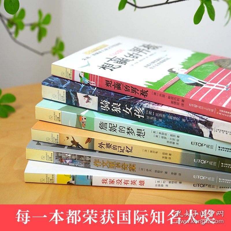 长青藤国际大奖小说书系(全6册) 9787541485343