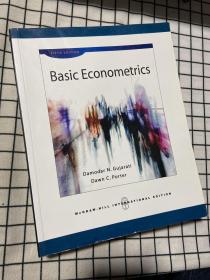 Basic Econometrics计量经济学