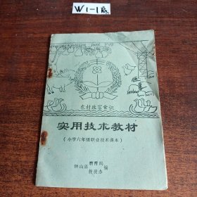 实用技术教材（小学六年级职业技术课本）