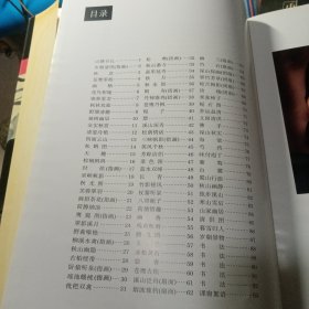 梁崎书画作品选【作者签赠吟印加闲章】