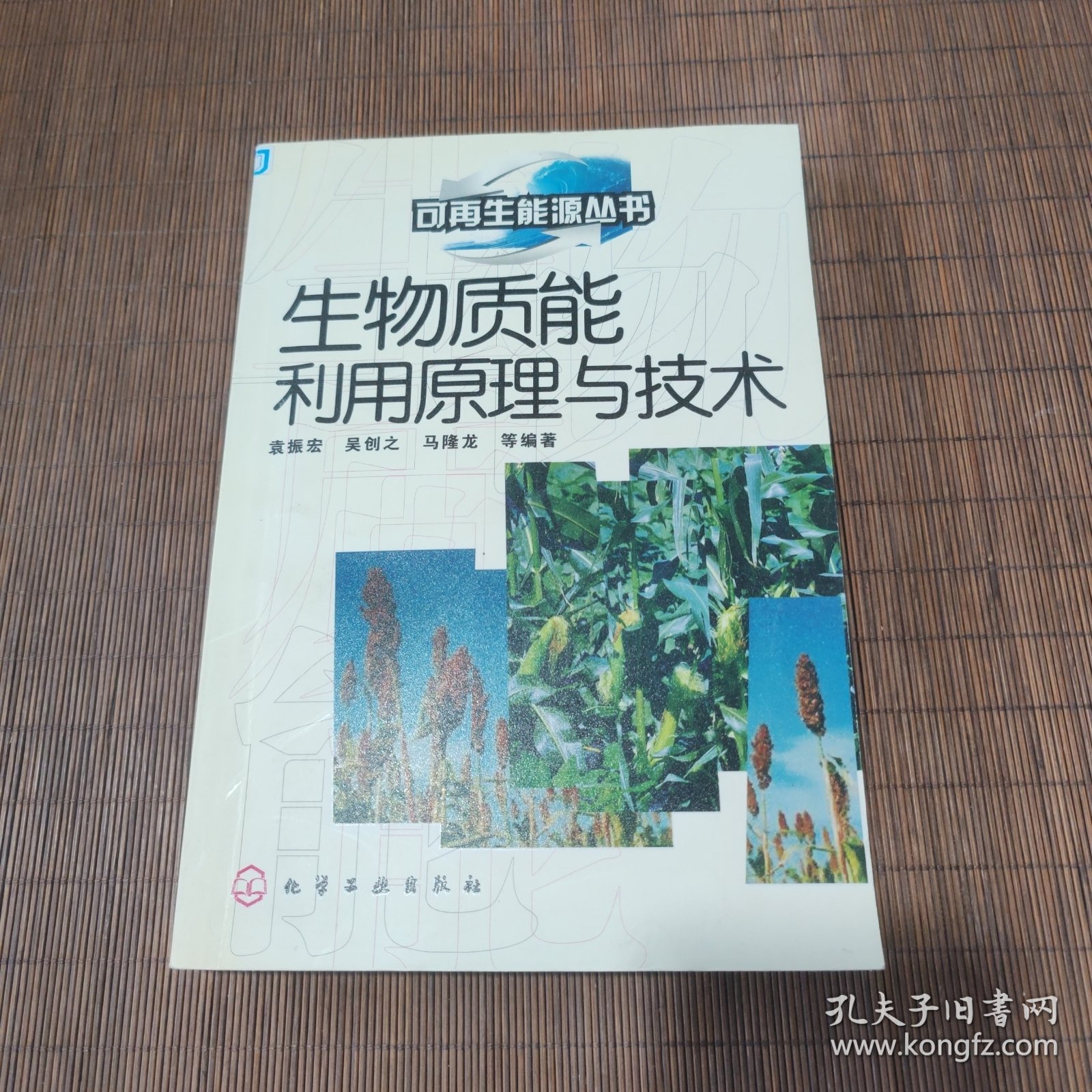 生物质能利用原理与技术