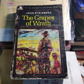 the grapes of wrath  英文版