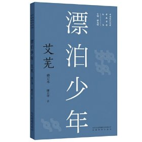 【正版新书】漂泊少年