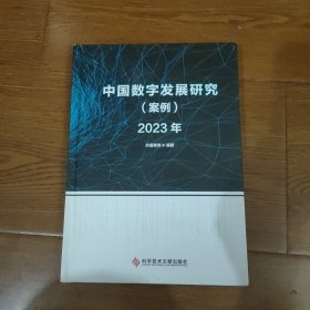 中国数字发展研究（案例）2023年