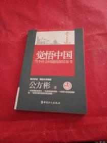 觉悟中国：当今社会问题的深层思考