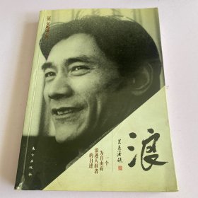 浪：一个为自由而浪迹天涯者的自述