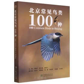 正版包邮 北京常见鸟类100种 关翔宇,曹吉鑫,杨欣宇 中国林业出版社