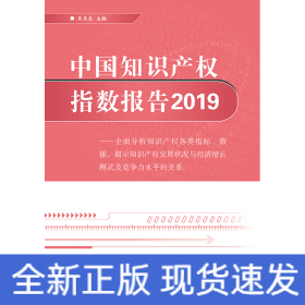 中国知识产权指数报告2019