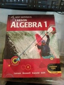 LARSON ALGEBRA 1