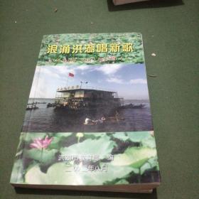 洪湖市1998—2002年教育宣传文荟／浪涌洪湖唱新歌