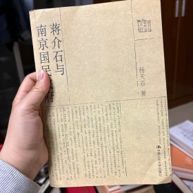 蒋介石与南京国民政府