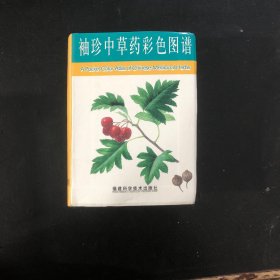 袖珍中草药彩色图谱