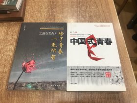 中国式青春和中国式青春2除了青春，一无所有两本合售