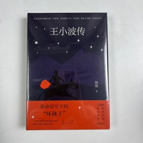 签名版王小波传（权威传记新修版 梁鸿序言导读 王德威孙郁王尧李洱联袂推荐 援引一手资料 还原真实的王小波）