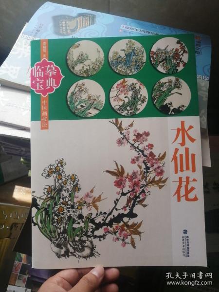 临摹宝典：水仙花