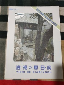 逸视的夏日.构：张石生金麦工作室宋庄艺术东区