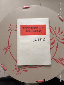 在扩大的中央工作会议上讲话