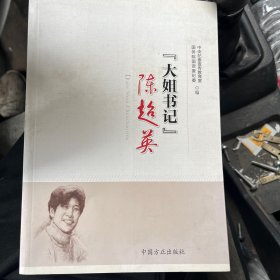 陈超英：大姐书记