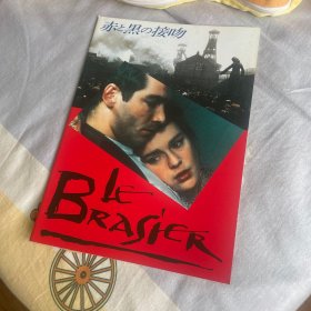 电影场刊 Le brasier
