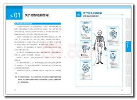 漫画基础医学：读懂解剖生理学 （日）林洋 著；刘芷佚，刘福水，刘乃刚 译 中国轻工业出版社 沿海书店