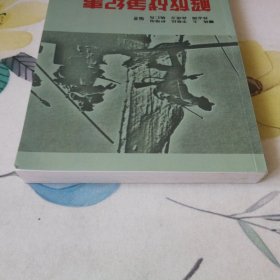 解放战争纪事