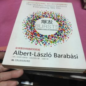 爆发：大数据时代预见未来的新思维