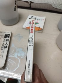 艺用人体解剖