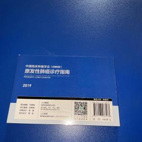 中国临床肿瘤学会(CSCO)原发性肺癌诊疗指南2019