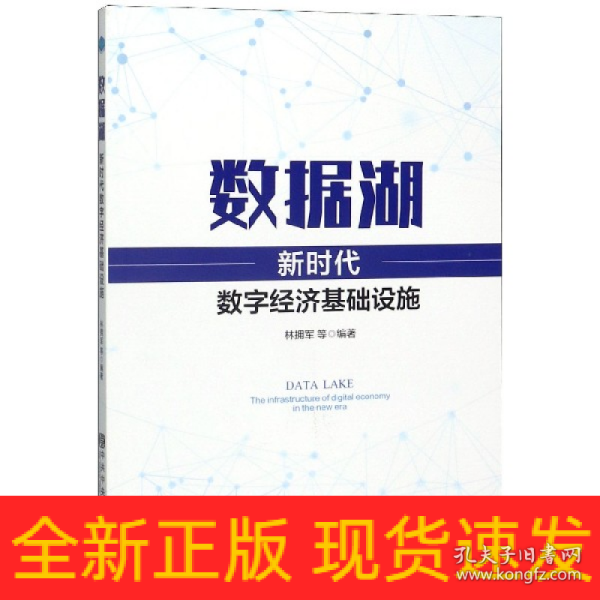 数据湖：新时代数字经济基础设施