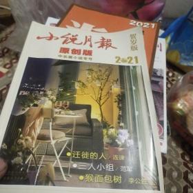 小说月报原创版2021年中长篇小说专号