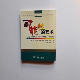 可能性的艺术