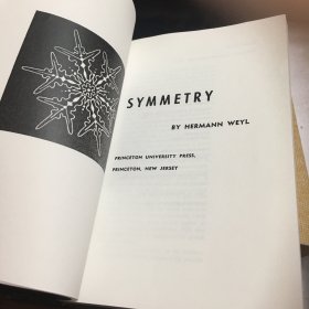 对称 Symmetry 英文原版 Hermann Weyl