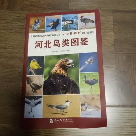 河北鸟类图鉴