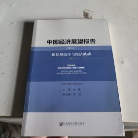 中国经济展望报告（2017）