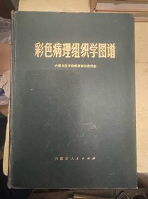 彩色病理组织学图谱