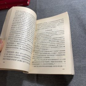 红旗飘飘第4