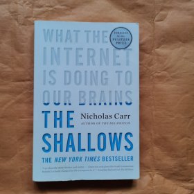 The Shallows: What the Internet Is Doing to Our Brains